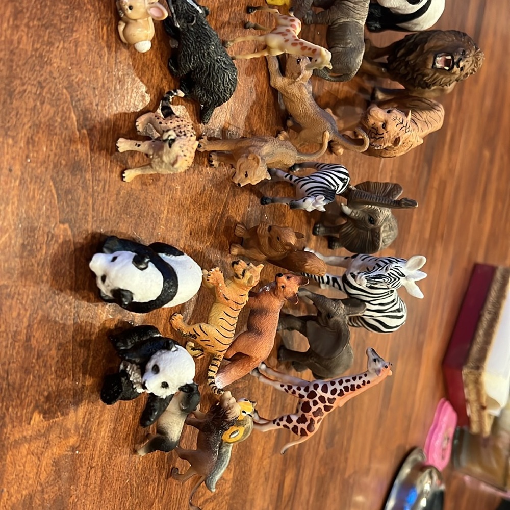 play animals - Picture 3 of 6